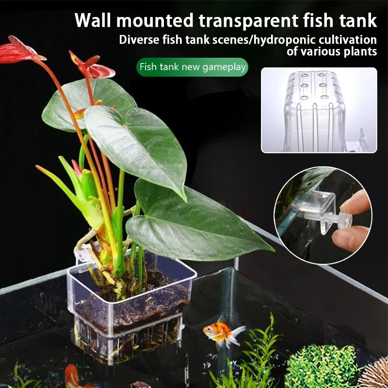 Hanging Planter Basket - أكواب زرع معلقة للأحواض المائية، حامل