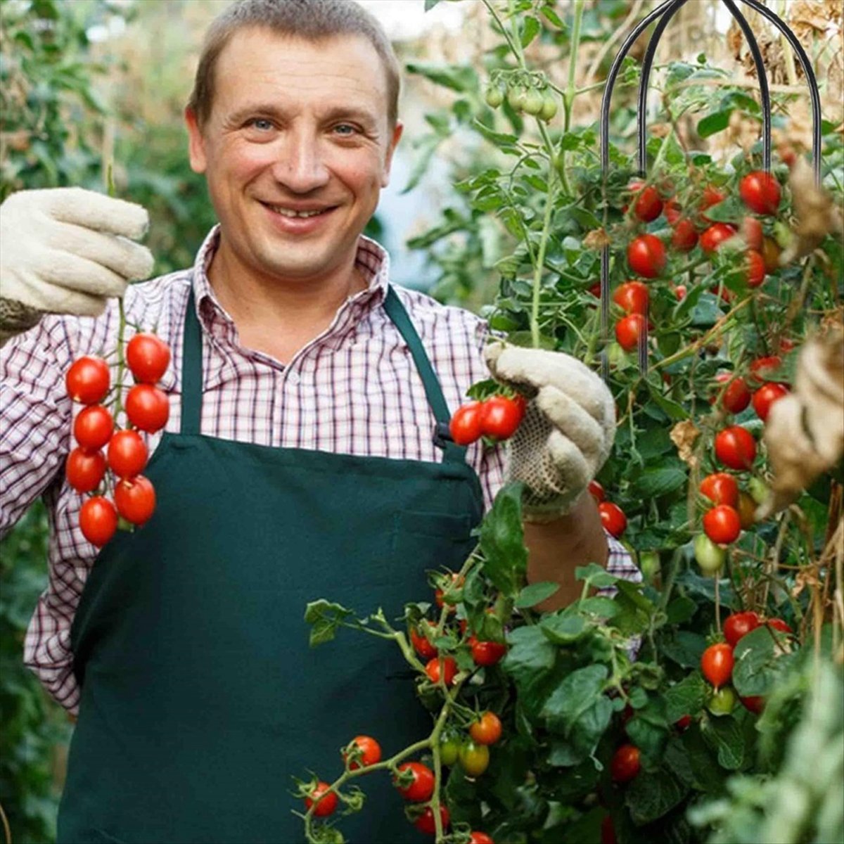 Gardening Tools B&M - AT16 عمود تسلق للنباتات، دعامة نباتات