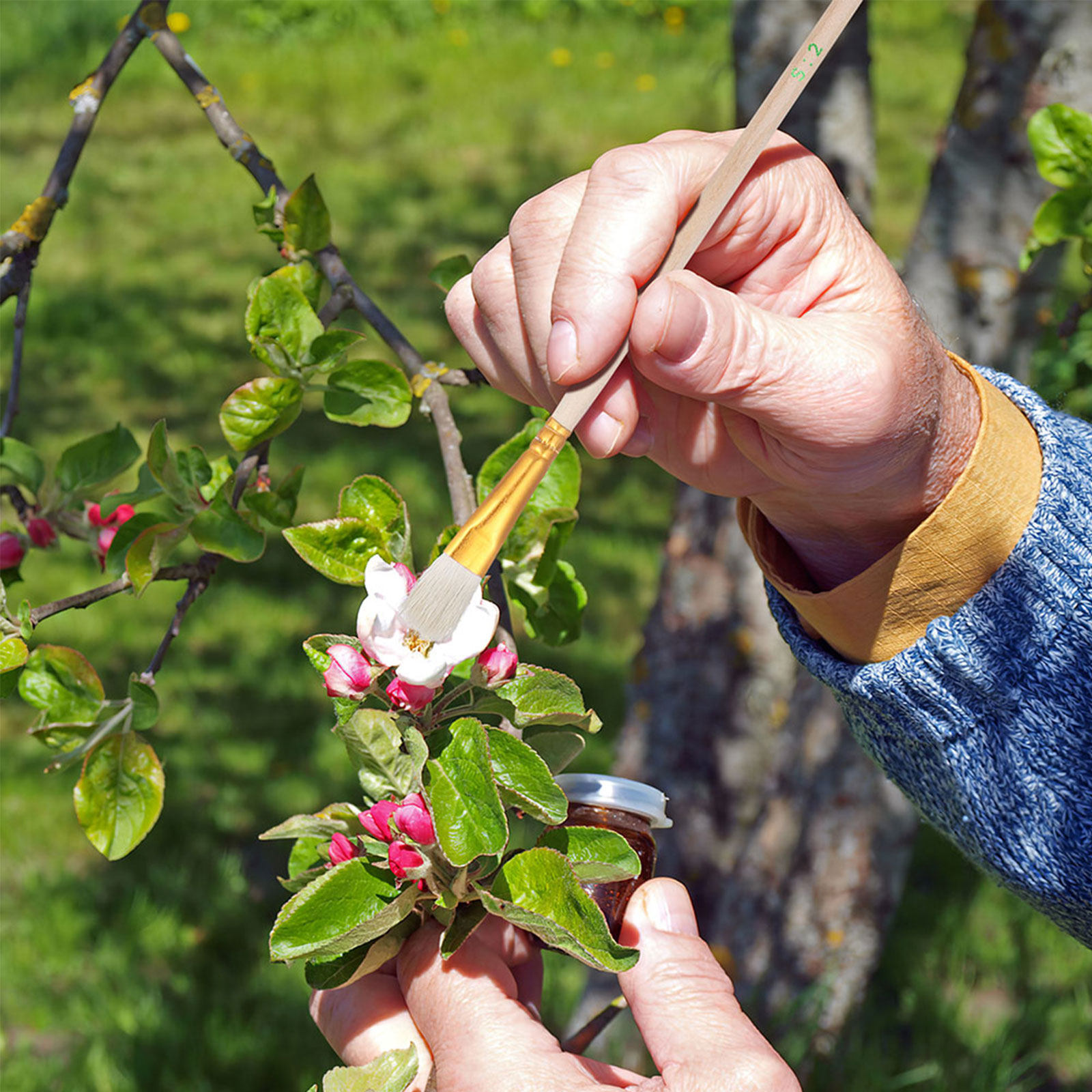 Gardening Tools Hand - مجموعة أدوات تلقيح الزهور 16 قطعة،