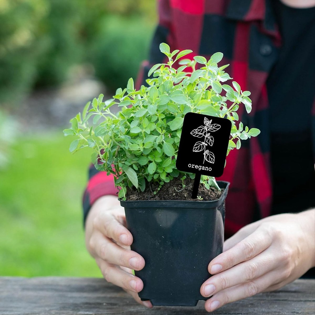 Gardening Tools With Names - AA14 24 قطعة من لوحات تعريف