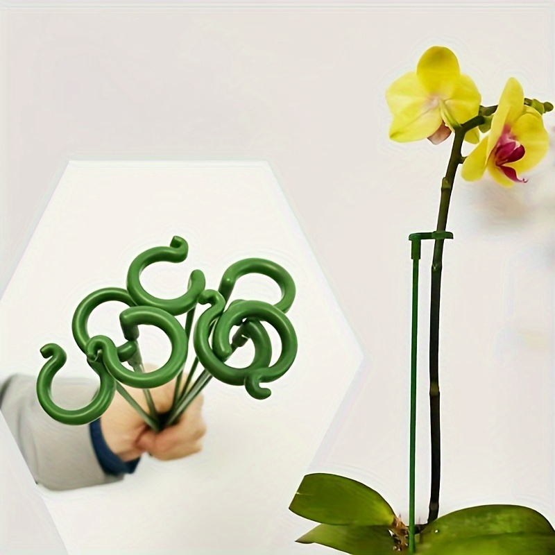 Orchid Potting Mix - 6 قطعة أوتاد دعم النباتات البلاستيكية