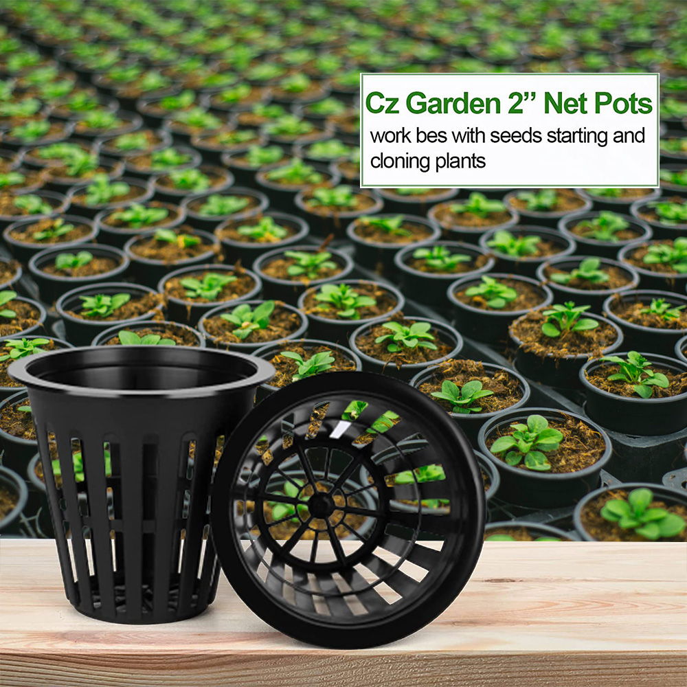 Orchid Potting Mix - 2 بوصة حديقة الحضانة الأواني النبات