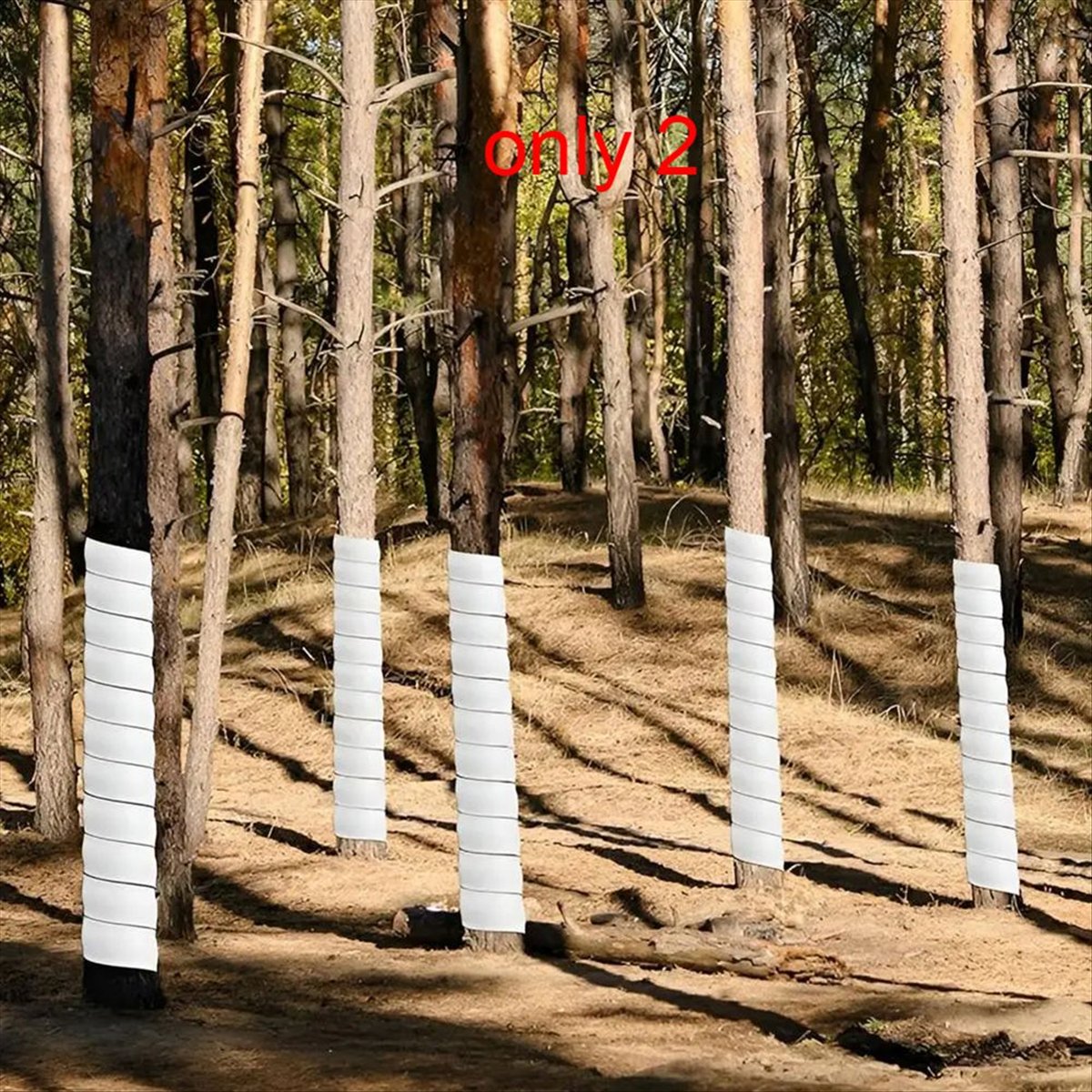 واقي جذع النبات A75K، غطاء بلا - مراجعة Gardening Tools B&M وسعره