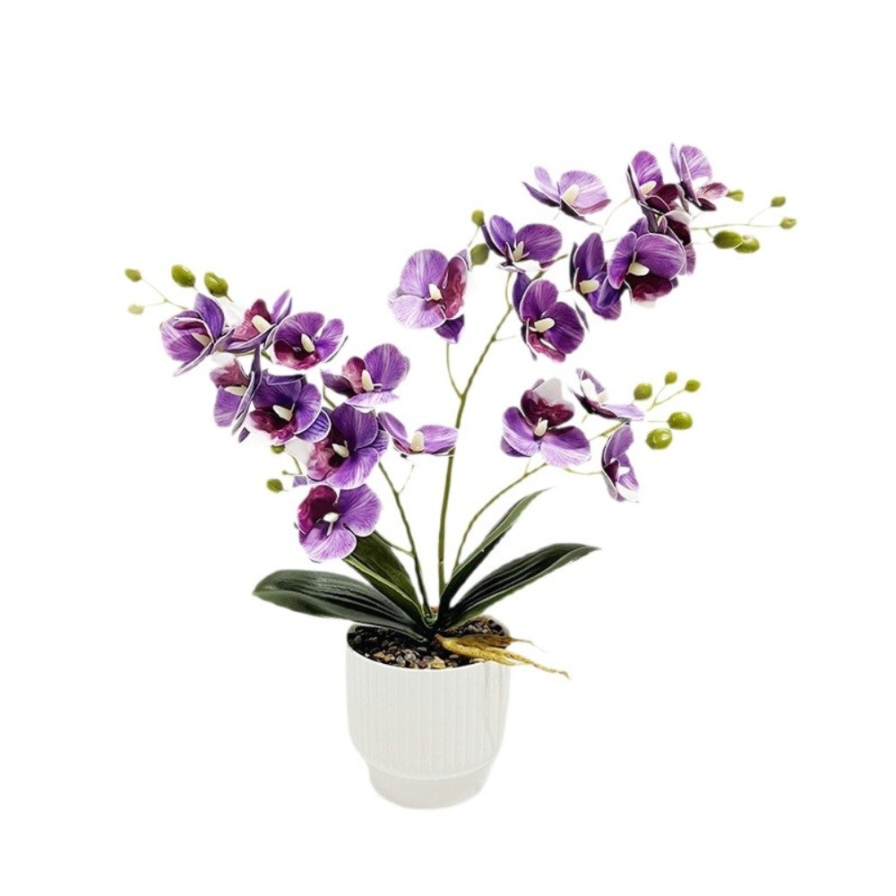 زهرة الأوركيد الاصطناعية متعدد - مراجعة Orchid Potting Mix وسعره