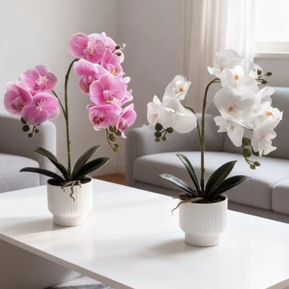 نبات الأوركيد الاصطناعي متعدد  - مراجعة Orchid Potting Mix وسعره