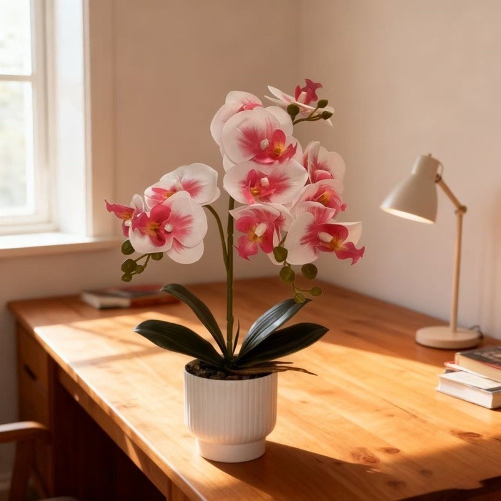 نبات الأوركيد الاصطناعي متعدد  - مراجعة Orchid Potting Mix وسعره