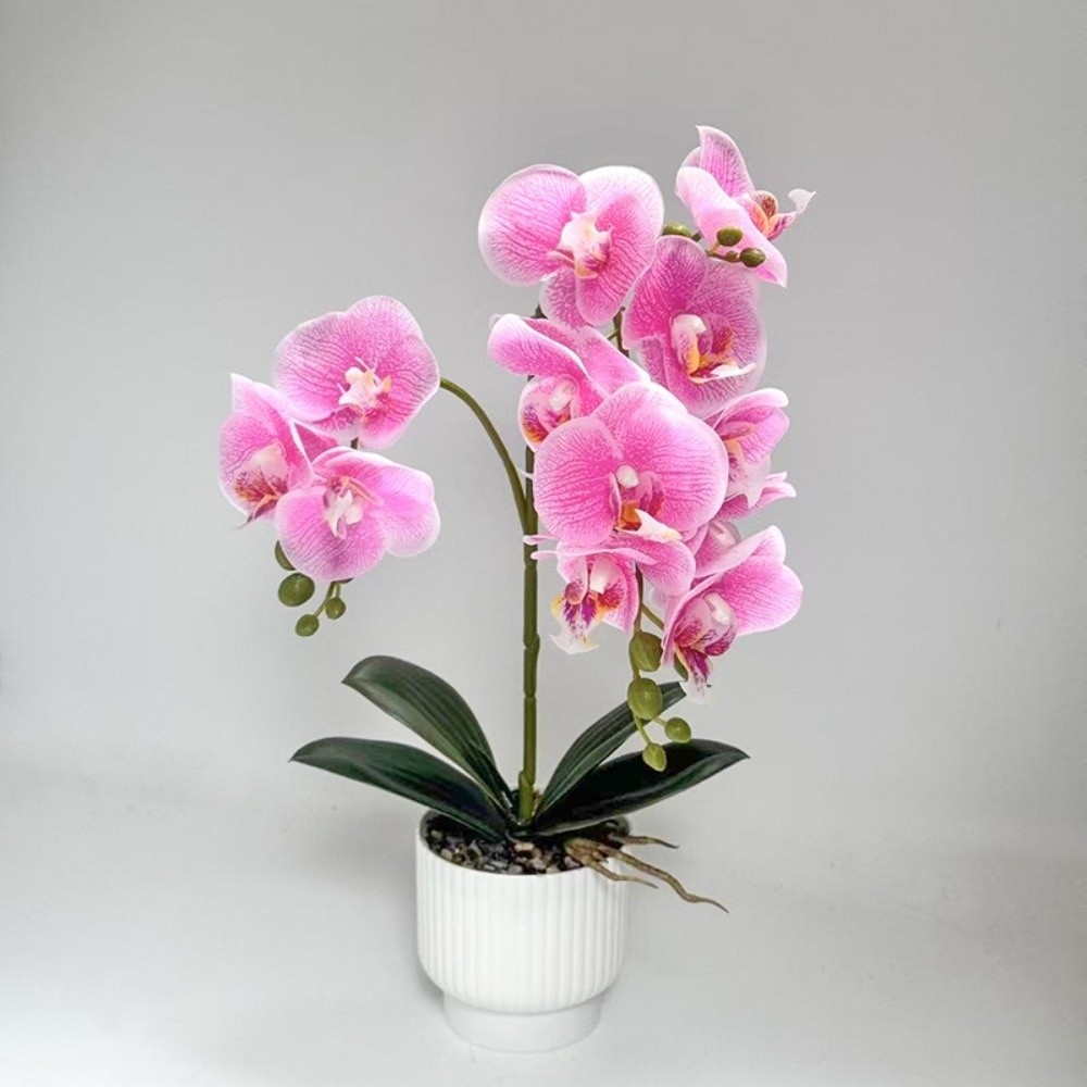 نبات الأوركيد الاصطناعي متعدد  - مراجعة Orchid Potting Mix وسعره