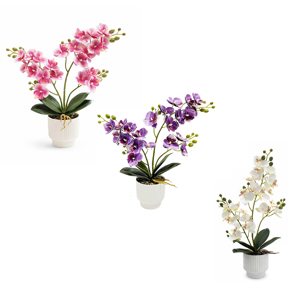 زهور الأوركيد الاصطناعية، نبات - مراجعة Orchid Potting Mix وسعره