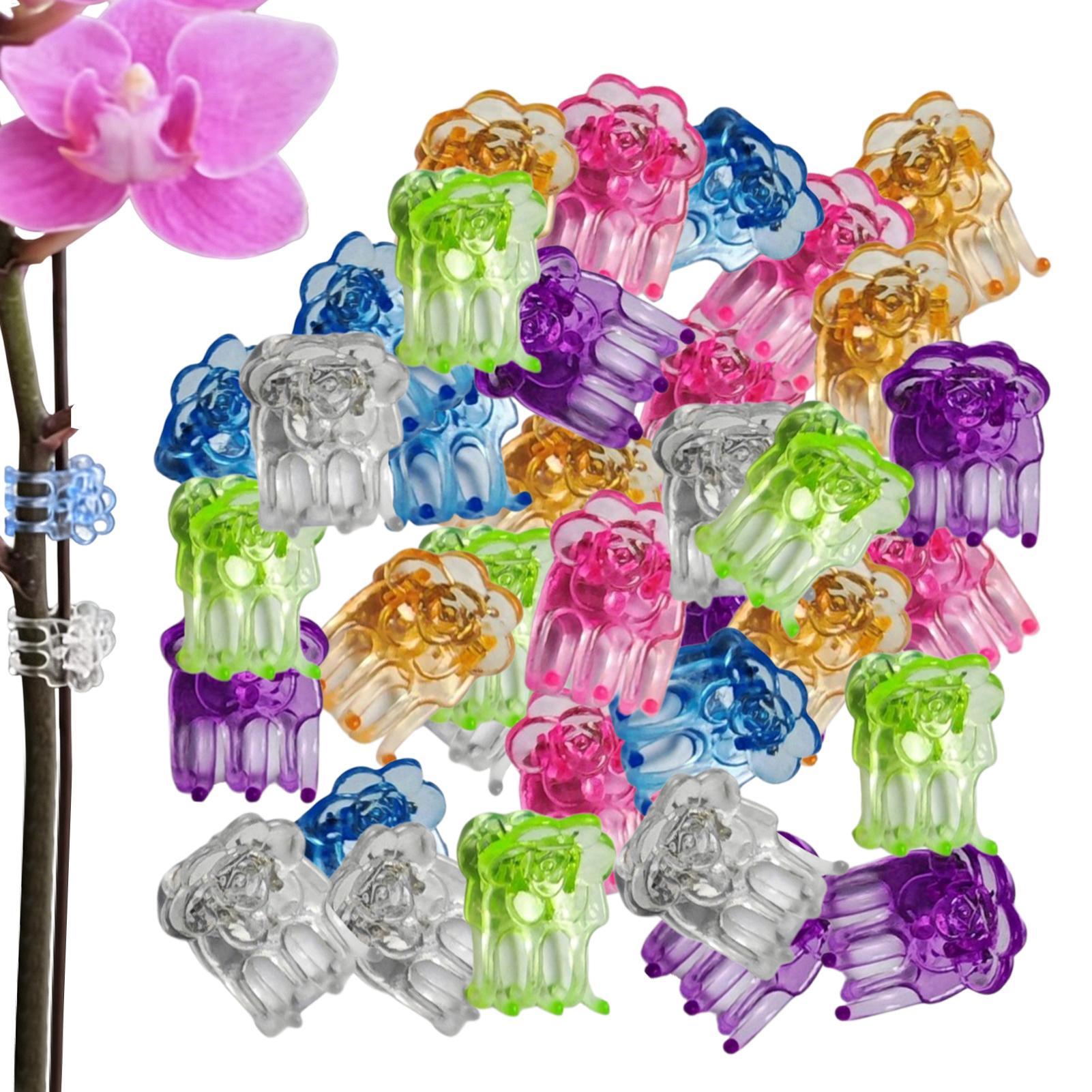 مشابك الأوركيد 60 قطعة، مشابك  - مراجعة Orchid Potting Mix وسعره