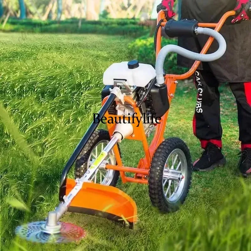 L178 جزازة عشب يدوية الدفع، ما - مراجعة Gardening Tools Hand وسعره