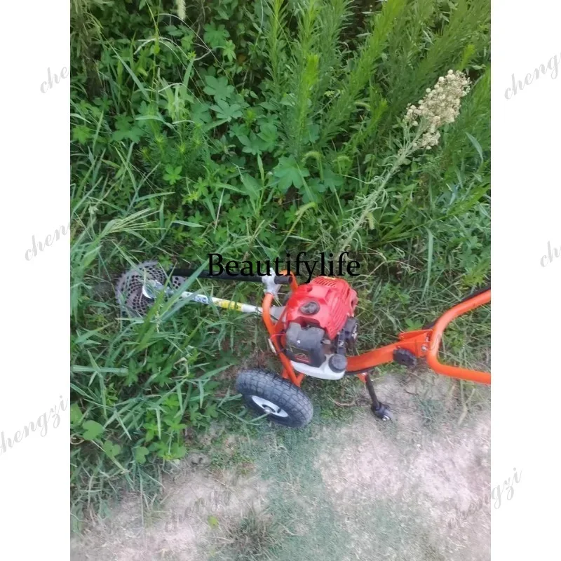 L178 جزازة عشب يدوية الدفع، ما - مراجعة Gardening Tools Hand وسعره
