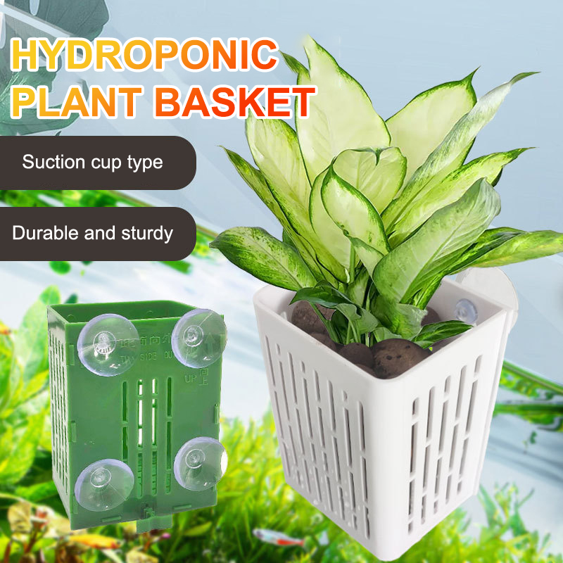 معلقة شفط كأس هوك حامل نبات حو - مراجعة Hanging Planter Basket وسعره