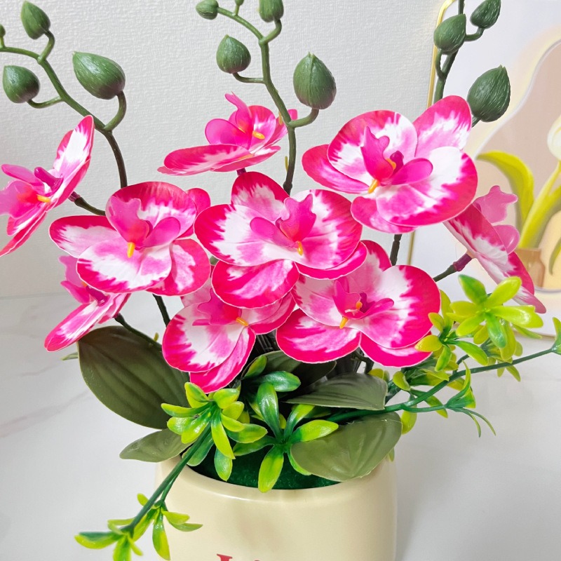 زهرة الأوركيد الاصطناعية الأني - مراجعة Orchid Potting Mix وسعره