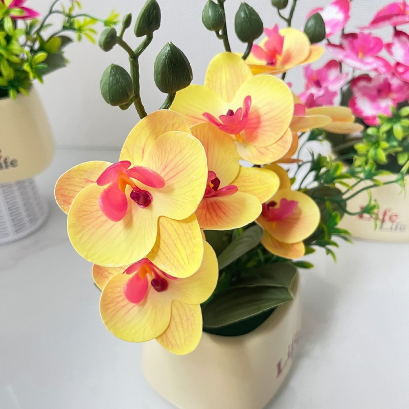 زهرة الأوركيد الاصطناعية الأني - مراجعة Orchid Potting Mix وسعره