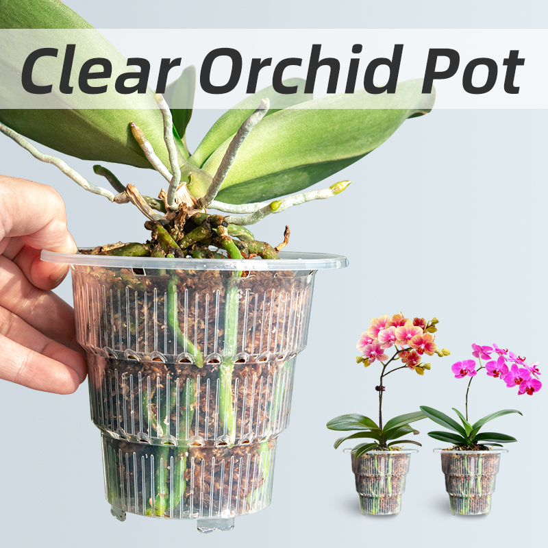 أوعية أوركيد بلاستيكية شفافة م - مراجعة Orchid Potting Mix وسعره