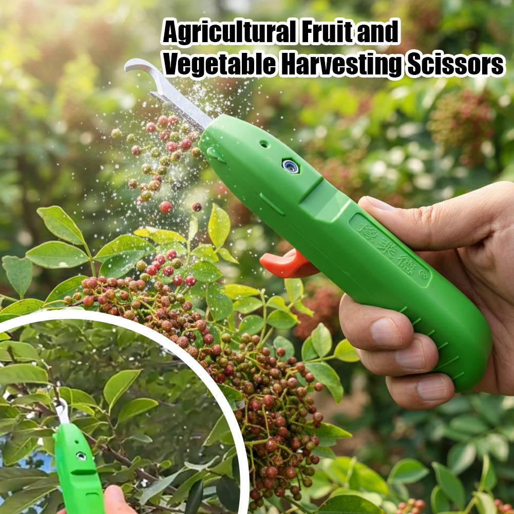 مقصات قطف الفاكهة والخضروات، م - مراجعة Gardening Tools Hand وسعره