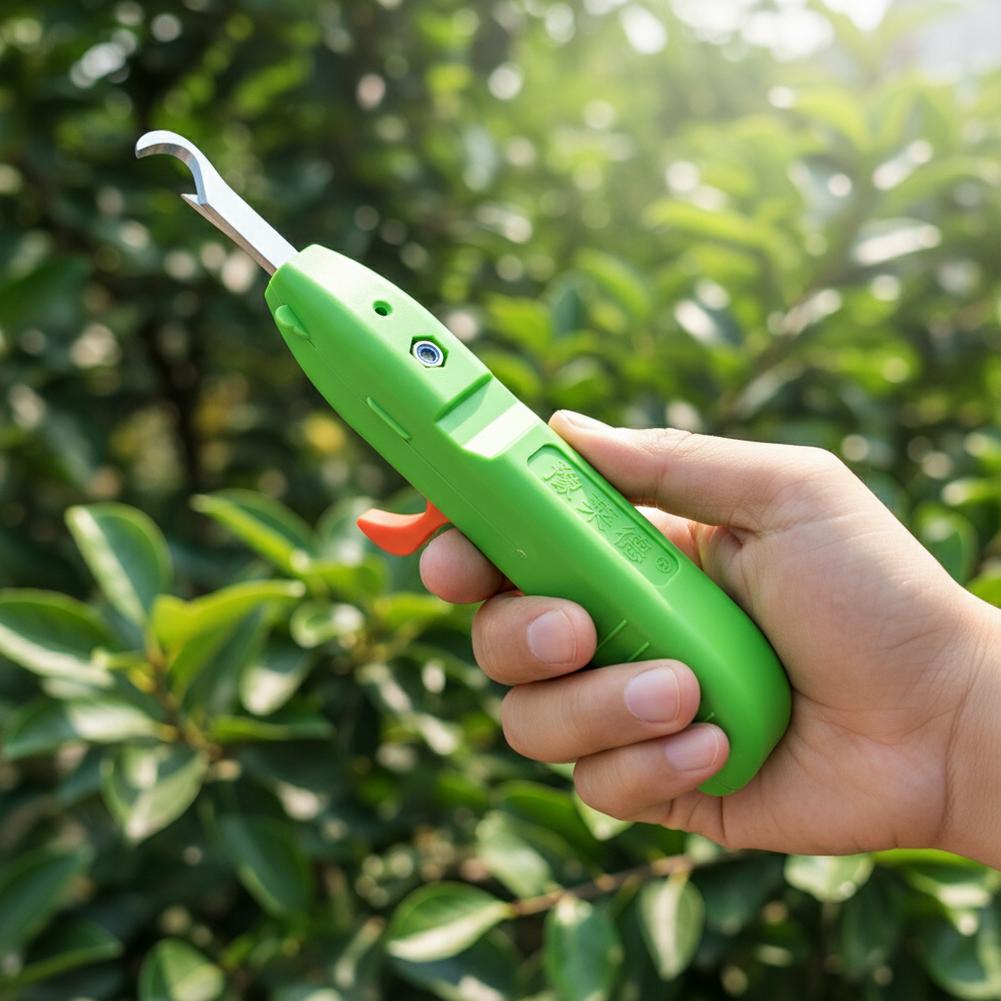 مقصات قطف الفاكهة والخضروات، م - مراجعة Gardening Tools Hand وسعره