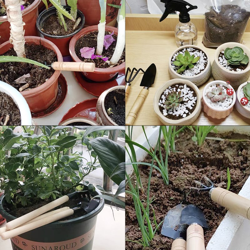 طقم أدوات حدائق صغيرة من 3 قطع - مراجعة Gardening Tools Set وسعره