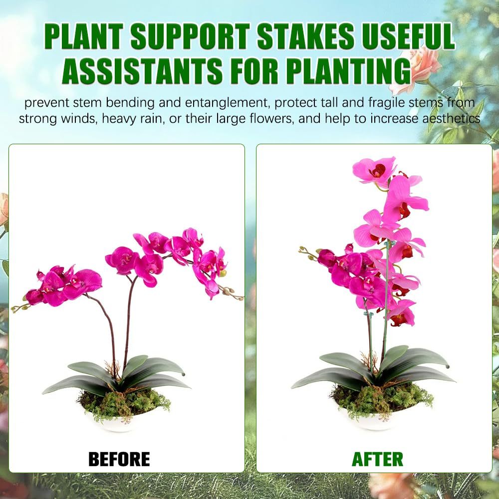 5/10 قطعة يدعم النبات حامل الف - مراجعة Orchid Potting Mix وسعره