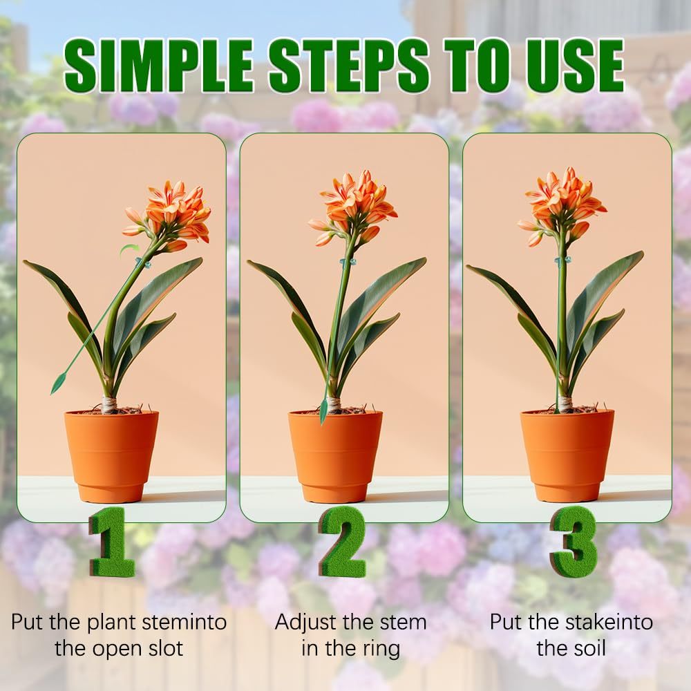 5/10 قطعة يدعم النبات حامل الف - مراجعة Orchid Potting Mix وسعره