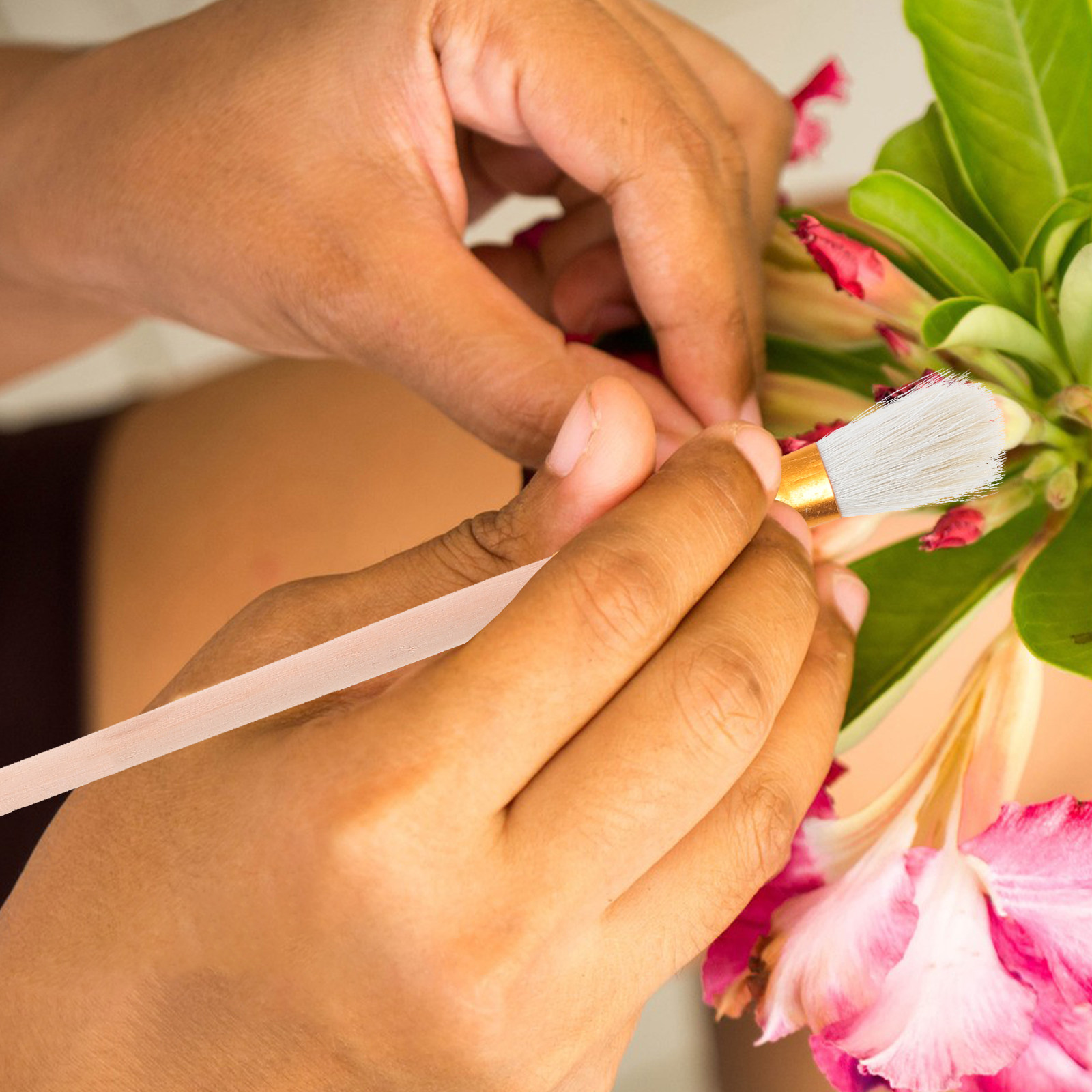 12 قطعة من فرش التلقيح اليدوية - مراجعة Gardening Tools Hand وسعره