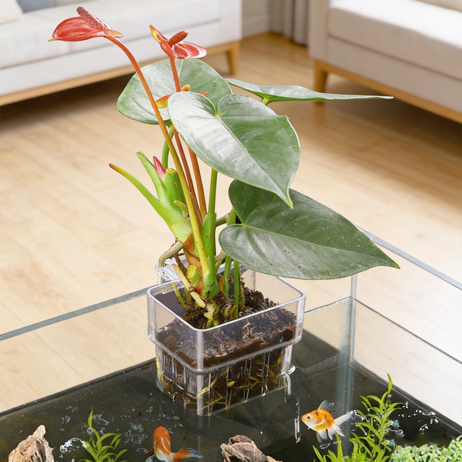 سلة نباتات للأحواض المائية، وع - مراجعة Hanging Planter Basket وسعره