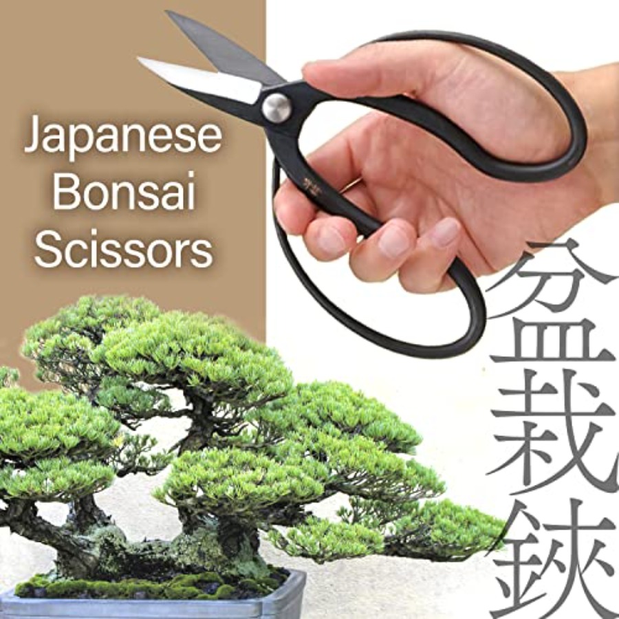 مقصات سويرو اليابانية للبونساي - مراجعة Gardening Tools In Japan وسعره