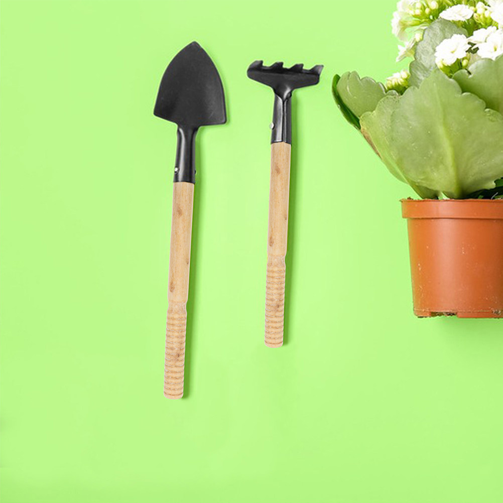 مجموعة من 5 قطع مقابض أدوات ال - مراجعة Gardening Tools Set وسعره