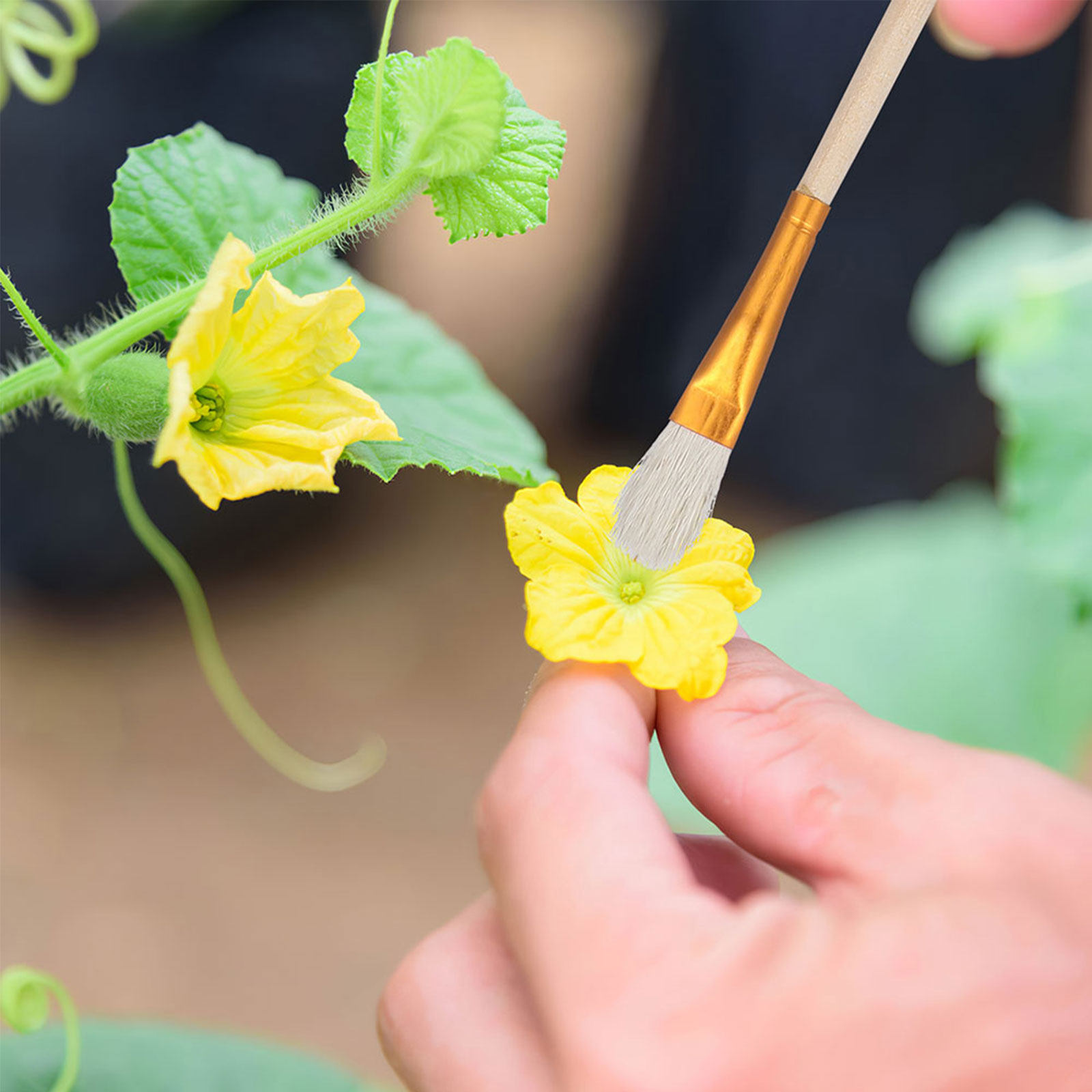 مجموعة أدوات تلقيح الزهور 16 ق - مراجعة Gardening Tools Hand وسعره