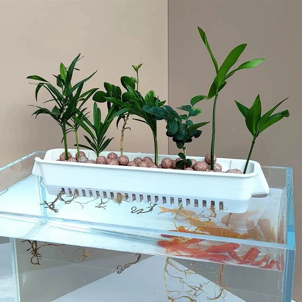 1 قطعة مزارعي حوض السمك المائي - مراجعة Hanging Planter Basket وسعره