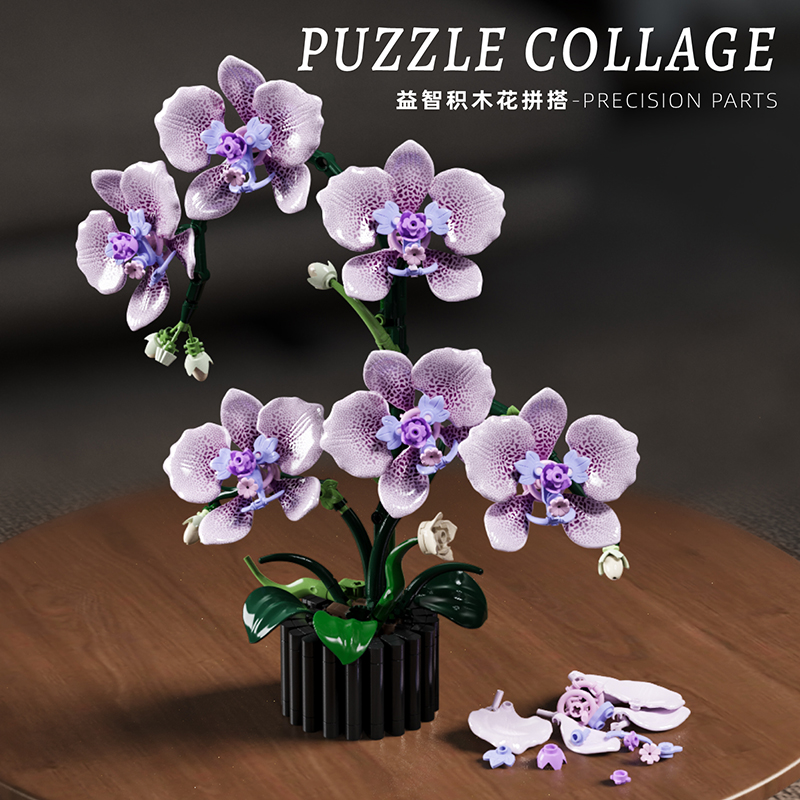 619 قطعة فالاينوبسيس اللبنات ا - مراجعة Orchid Potting Mix وسعره