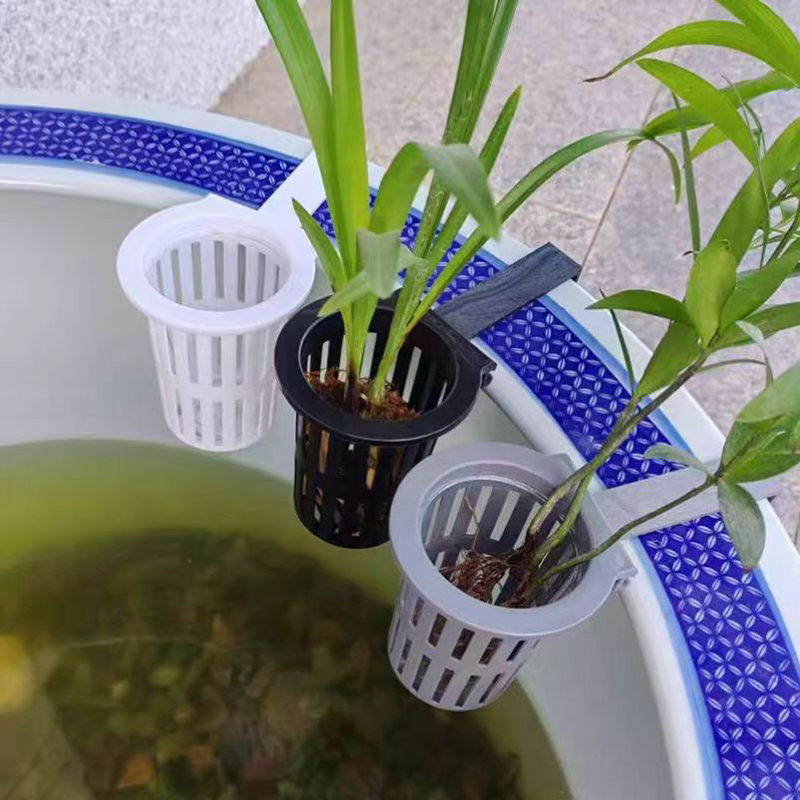 1/3 قطعة سلة نباتات حوض السمك  - مراجعة Hanging Planter Basket وسعره