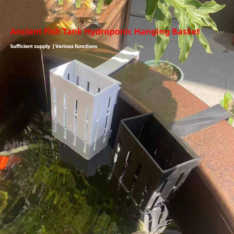 1/3 قطعة سلة نباتات حوض السمك  - مراجعة Hanging Planter Basket وسعره