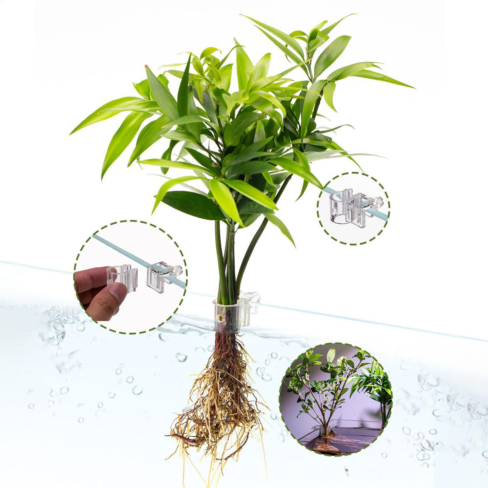 سلة نباتات للأحواض المائية، وع - مراجعة Hanging Planter Basket وسعره
