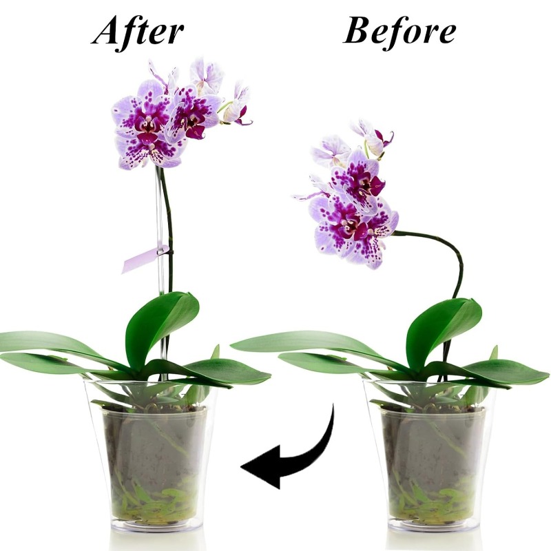 دعامات زهور شفافة قابلة لإعادة - مراجعة Orchid Potting Mix وسعره