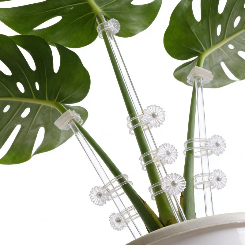 دعامات زهور شفافة قابلة لإعادة - مراجعة Orchid Potting Mix وسعره