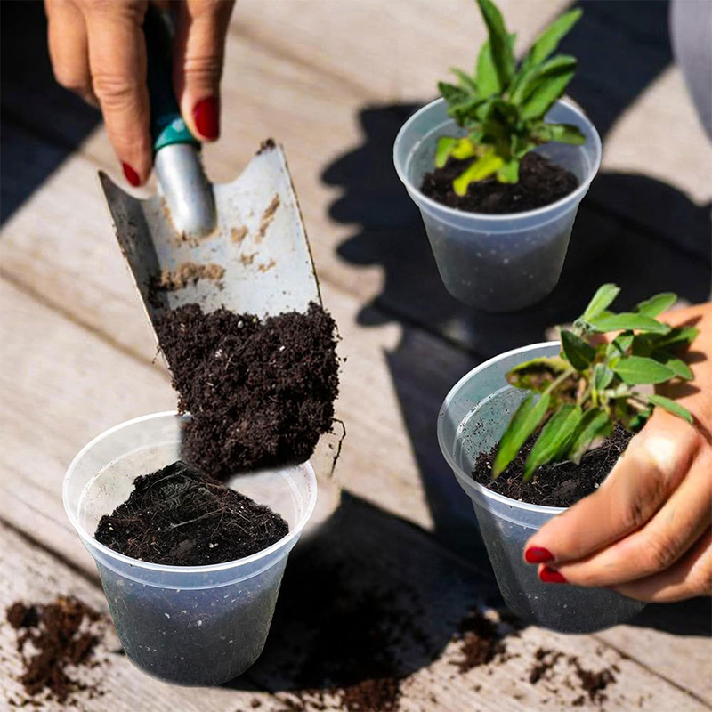 إناء زهور بلاستيك صلب شفاف ، إ - مراجعة Orchid Potting Mix وسعره