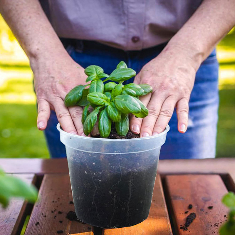 إناء زهور بلاستيك صلب شفاف ، إ - مراجعة Orchid Potting Mix وسعره