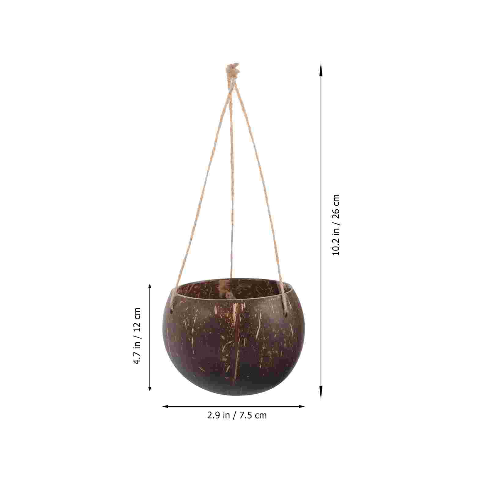 أواني زهور على شكل قشرة جوز ال - مراجعة Hanging Planter Basket وسعره