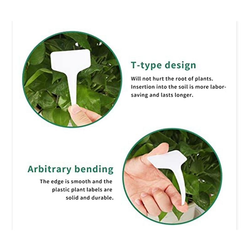 ملصقات نباتات RANA 300 قطعة 4  - مراجعة Gardening Tools With Names وسعره