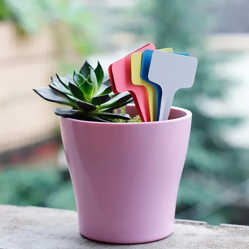 20 قطعة من علامات أسماء النبات - مراجعة Gardening Tools With Names وسعره