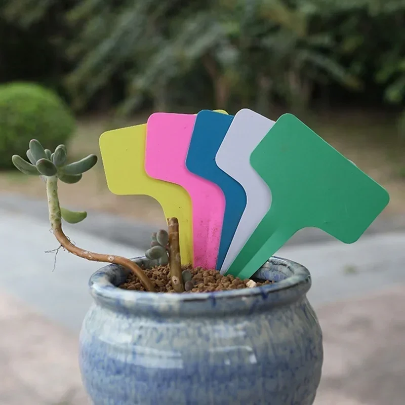 20 قطعة من علامات أسماء النبات - مراجعة Gardening Tools With Names وسعره