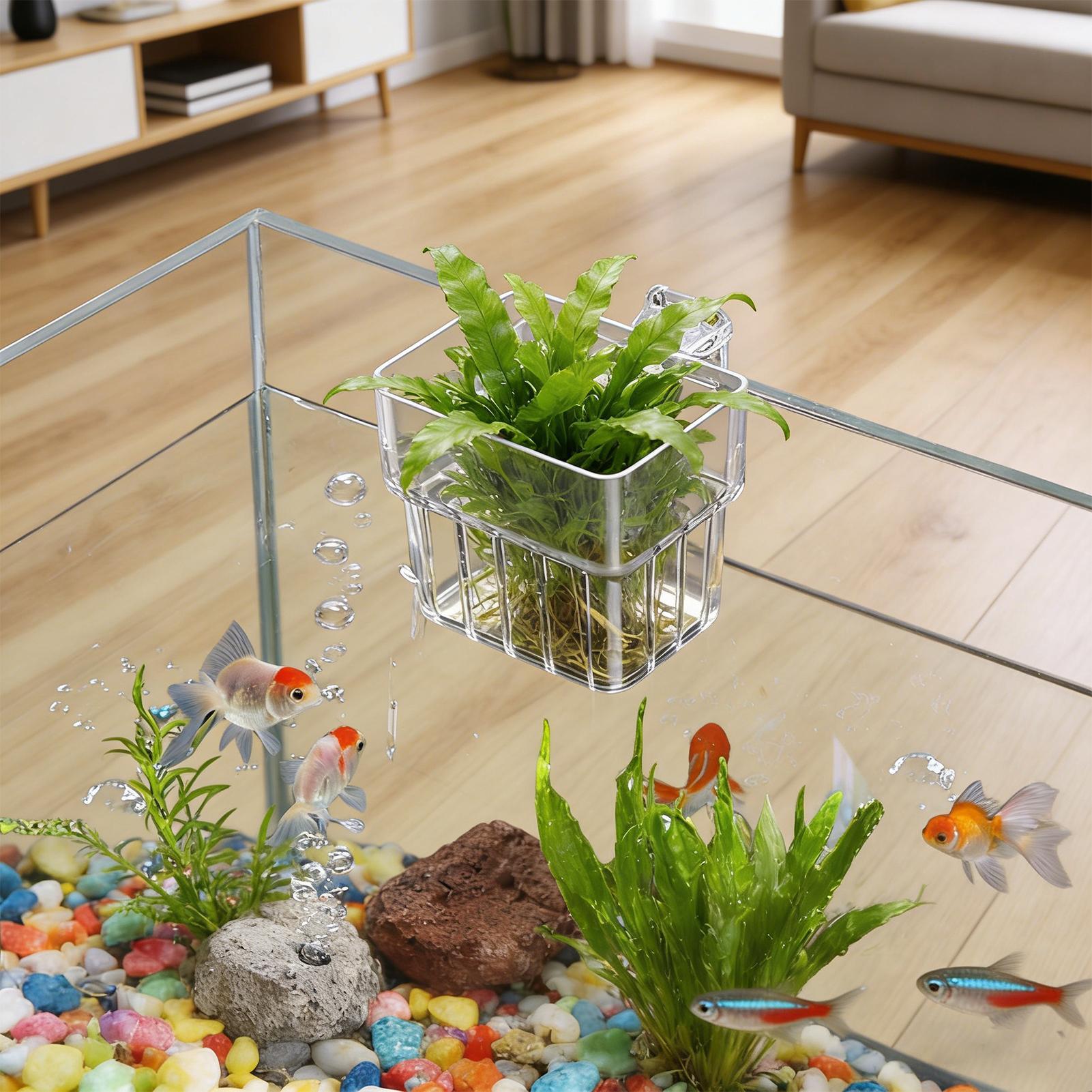 حامل نبات حوض السمك وعاء معلق  - مراجعة Hanging Planter Basket وسعره