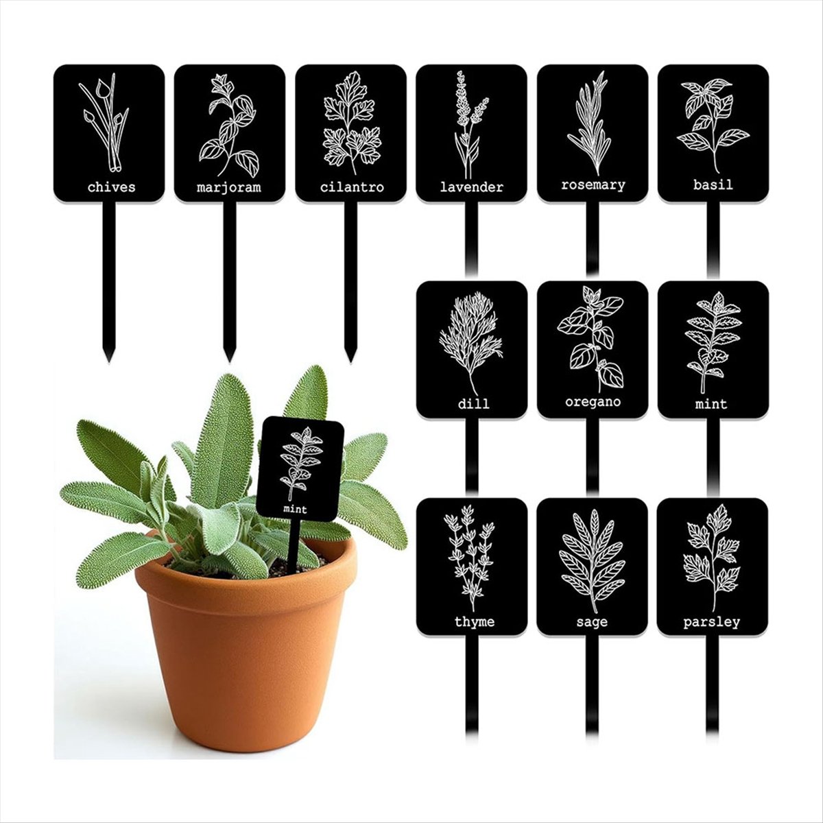 AA14 24 قطعة من لوحات تعريف ال - مراجعة Gardening Tools With Names وسعره
