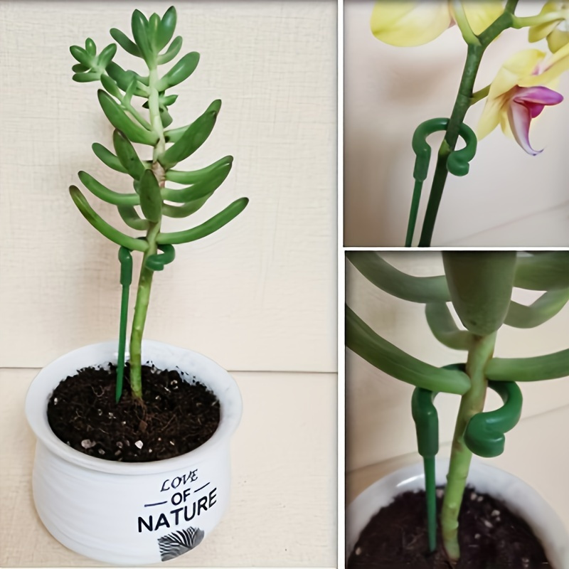 6 قطعة أوتاد دعم النباتات البل - مراجعة Orchid Potting Mix وسعره