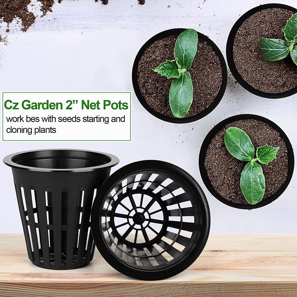2 بوصة حديقة الحضانة الأواني ا - مراجعة Orchid Potting Mix وسعره